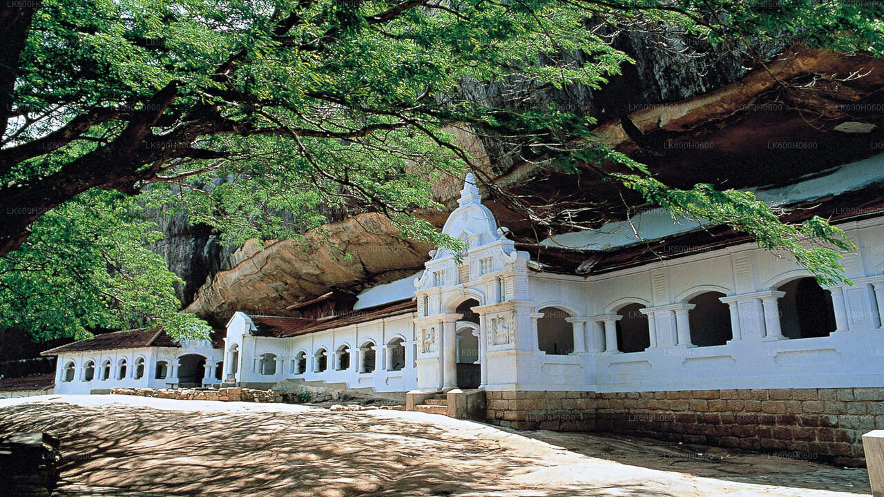 Sigiriya i Dambulla z Kolombo