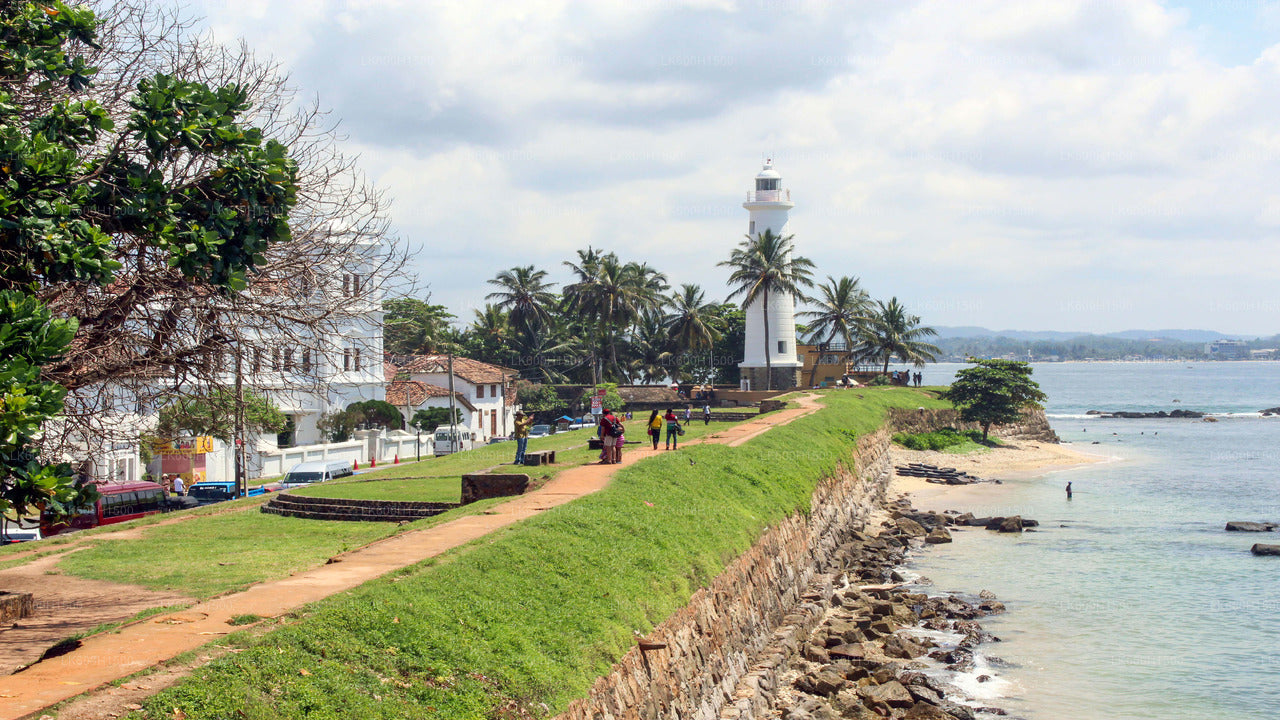 Fabryka białej herbaty dziewiczej i Fort Galle z Colombo