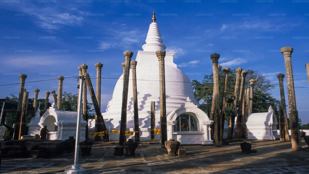 Święte miasto Anuradhapura z Kolombo