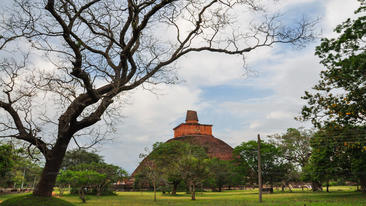 Święte miasto Anuradhapura z Kolombo