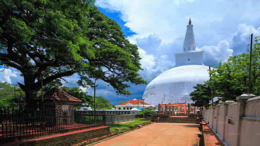Święte miasto Anuradhapura z Dambulla