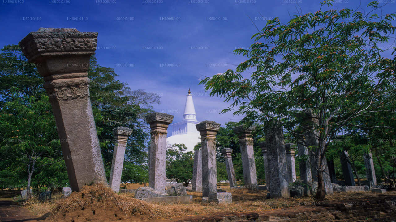 Święte miasto Anuradhapura z Dambulla