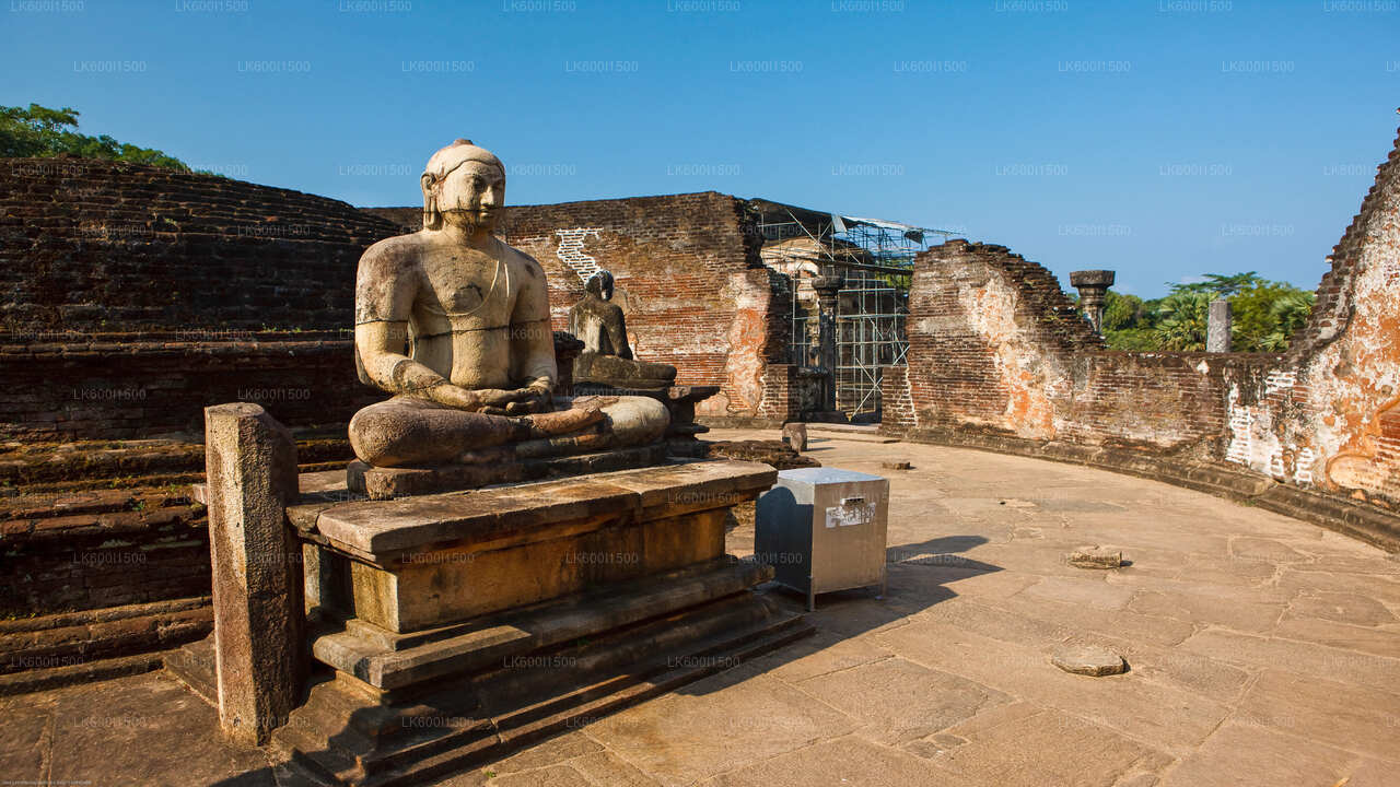 Polonnaruwa Starożytne Królestwo i Dzikie Słonie Safari z Dambulla