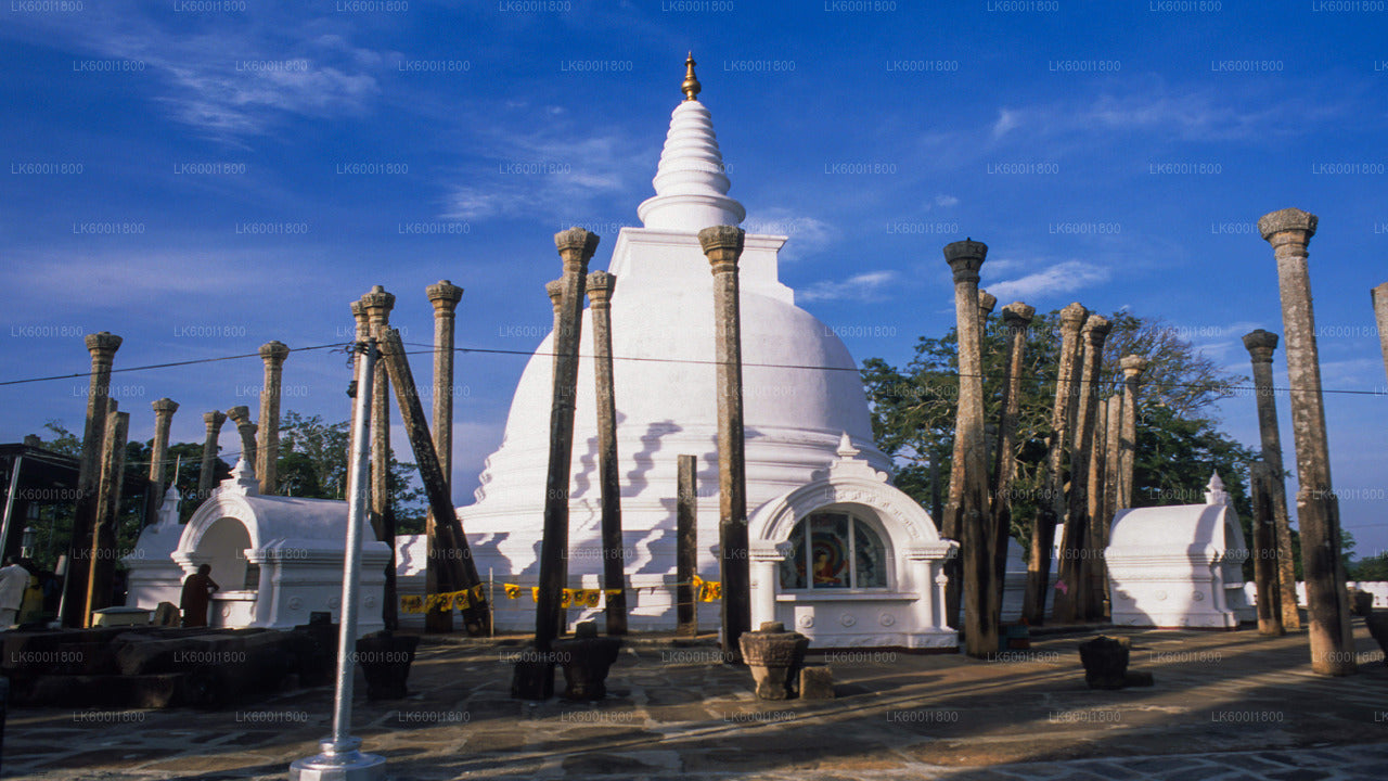 Anuradhapura Buddhist Icons Tour z Dambulla
