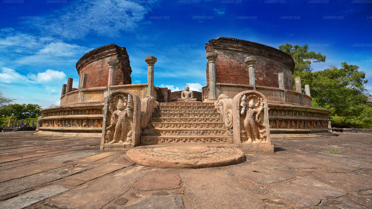 Polonnaruwa Starożytne Królestwo i Safari dzikich słoni z Habarany
