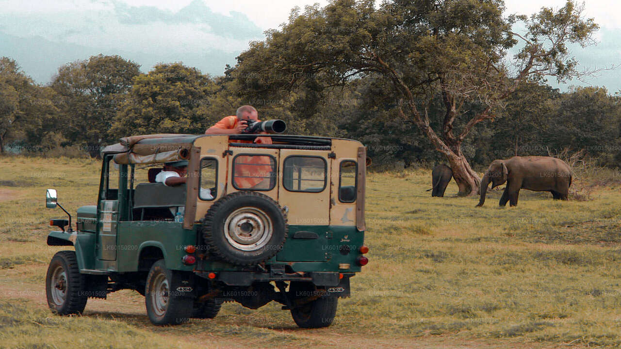 Park Narodowy Udawalawe Safari z Tangalle