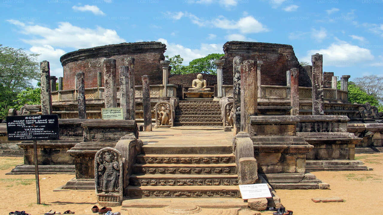 Polonnaruwa Ancient Kingdom and Wild Elephant Safari from Kandy