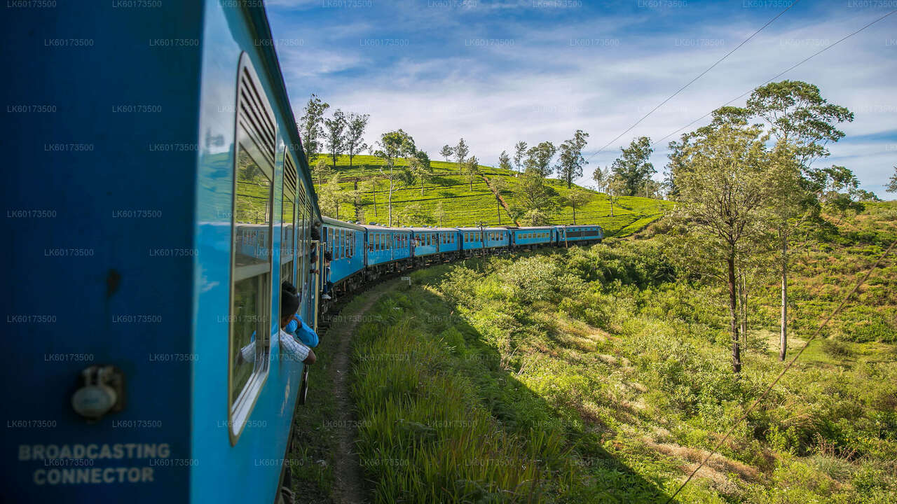Malownicza przejażdżka pociągiem do Elli z Kandy