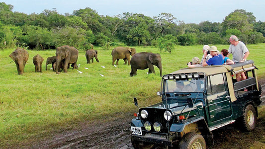 Safari w Parku Narodowym Bundala z Koggala