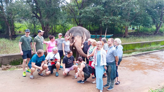 Safari z powrotem słonia z Habarany