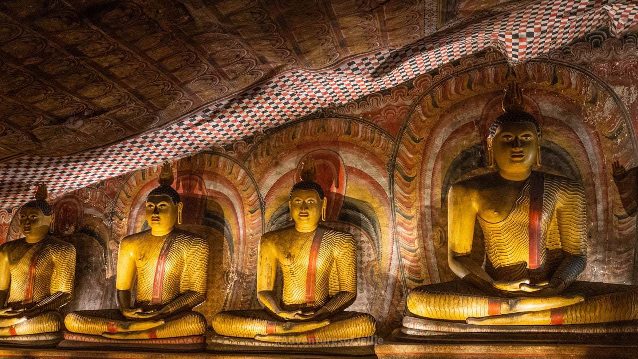 Bilety wstępu do świątyni Dambulla Cave Temple