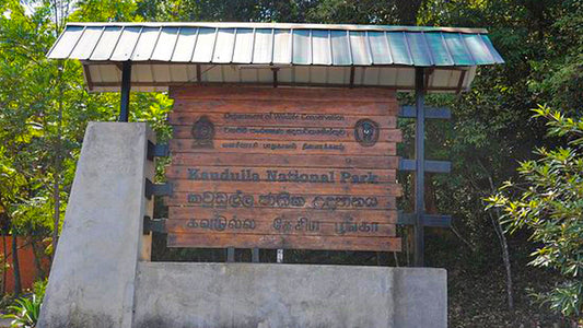Bilety wstępu do Parku Narodowego Kaudulla
