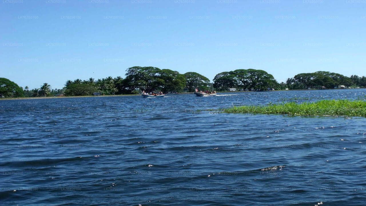Przejażdżka łodzią po jeziorze Tissamaharama