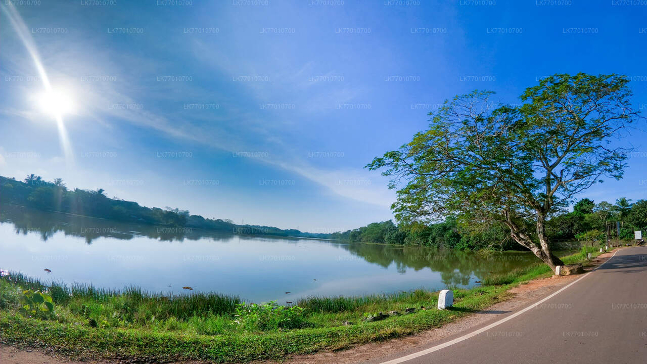 Cycling in Thalangama Wetland