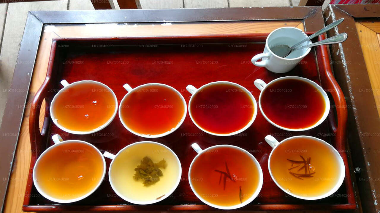 Degustacja herbaty cejlońskiej z Galle