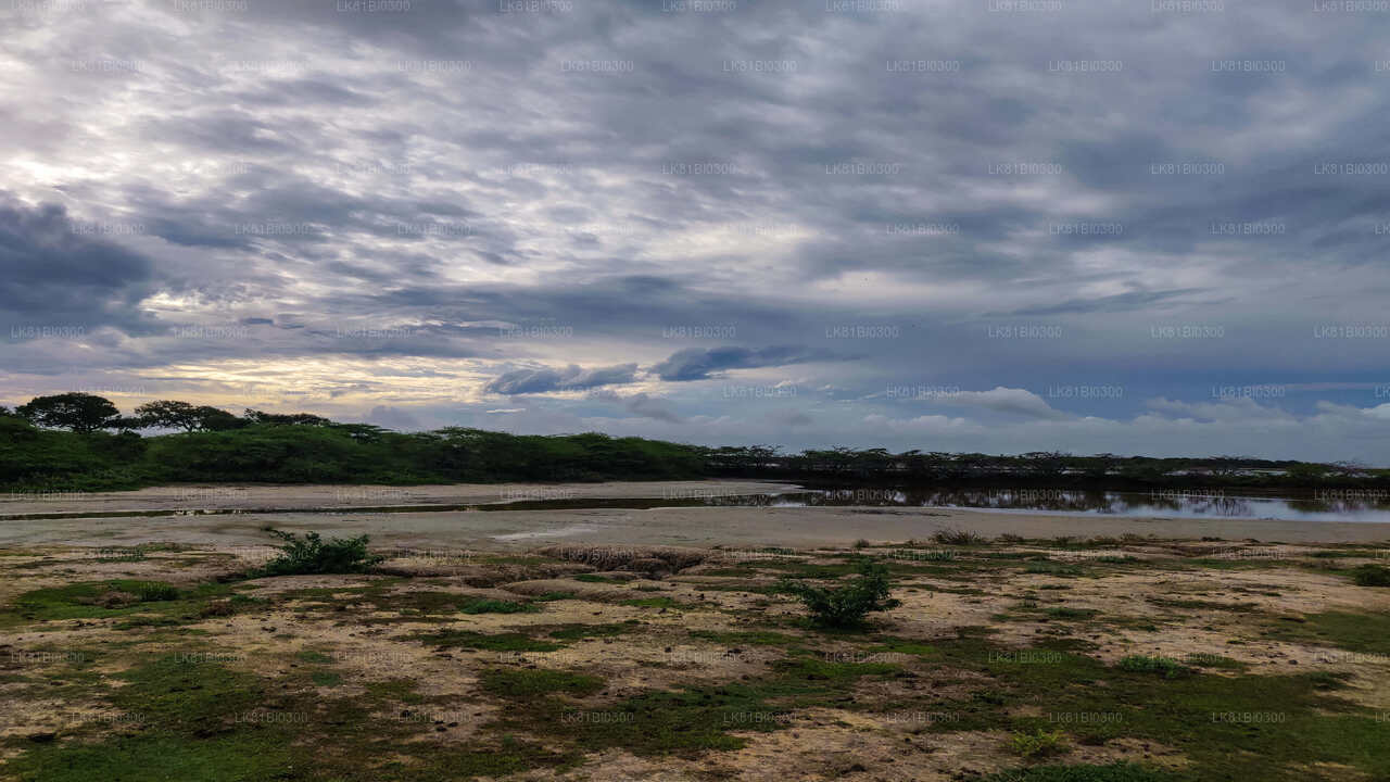 Safari w Parku Narodowym Bundala z portu morskiego Hambantota