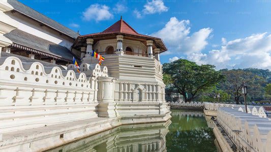 Wycieczka po mieście Kandy z portu w Kolombo