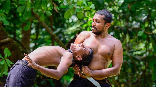 Pokaz sztuk walki Angampora z Colombo