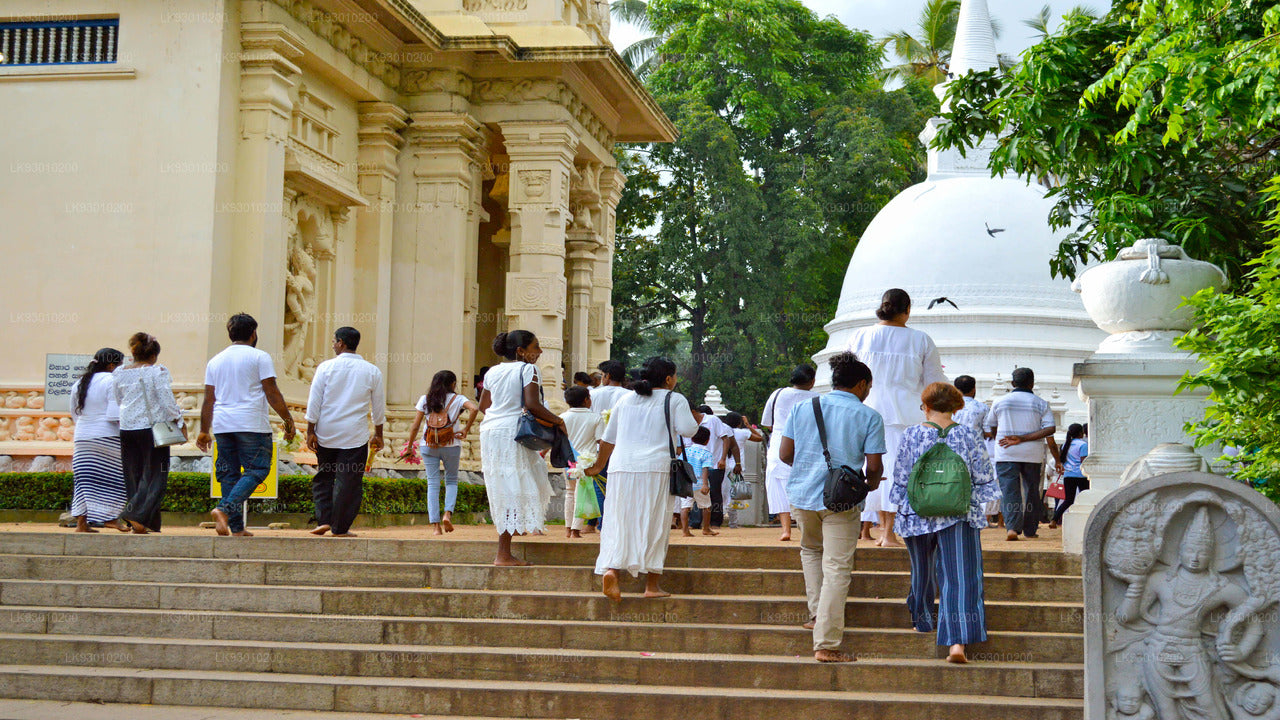 Doświadczenie ikonografii buddyjskiej Colombo