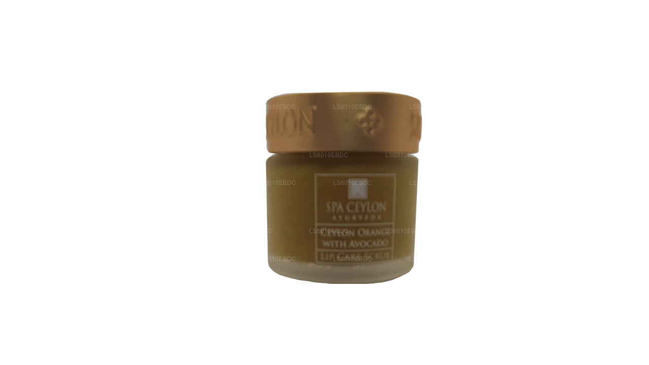 Spa Ceylon Ceylon Orange With Avocado - Lip Care Scrub (25g)