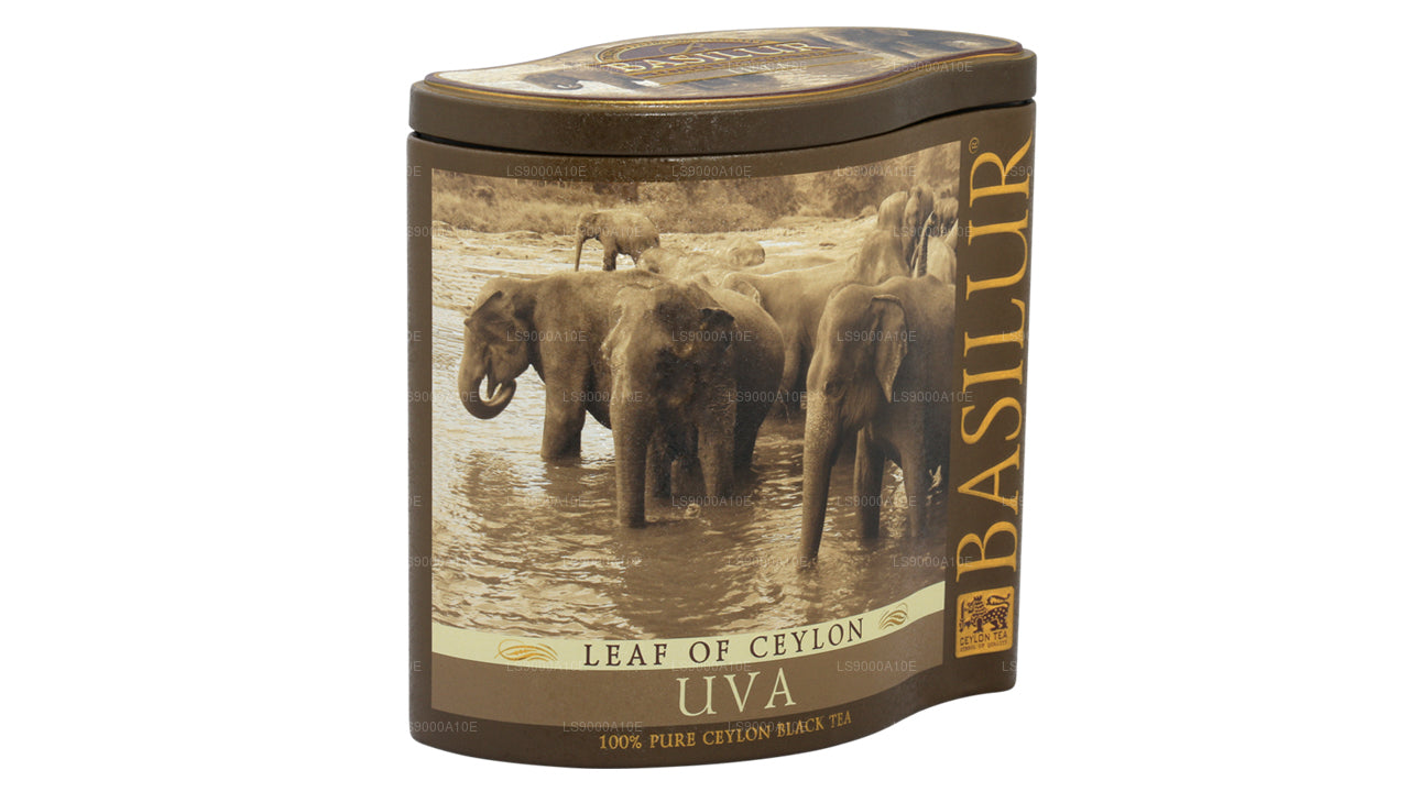 Basilur Liść Cejlonu „Uva” (100g) Caddy