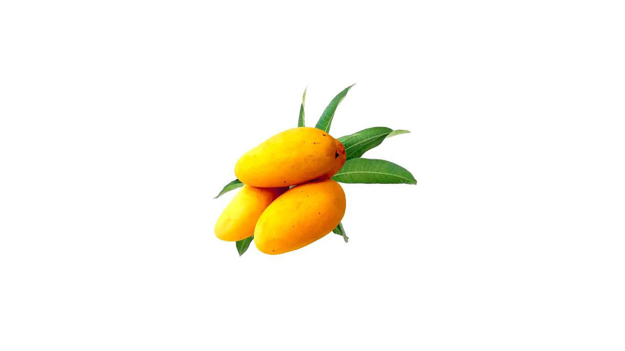 Sunflower Mango (සන්ෆ්ලවර් අඹ) Fruit Plant